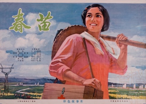 做个南佛罗里达大学文凭